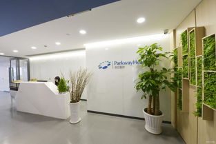 百汇管理公司装饰设计服务项目 专业设计，塑造卓越空间